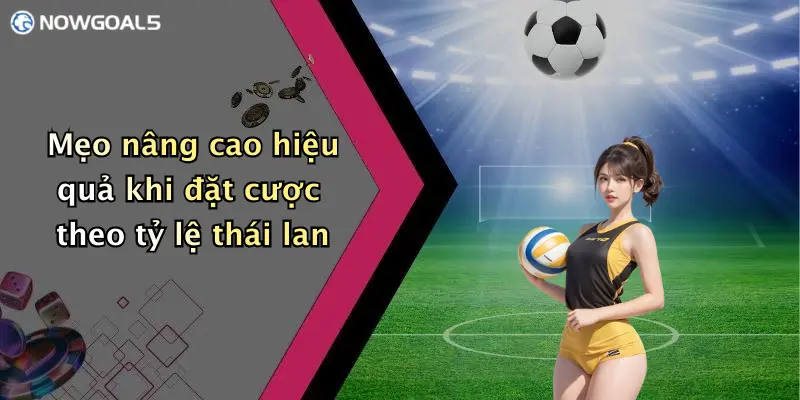 Mẹo nâng cao hiệu quả khi đặt cược theo tỷ lệ thái lan
