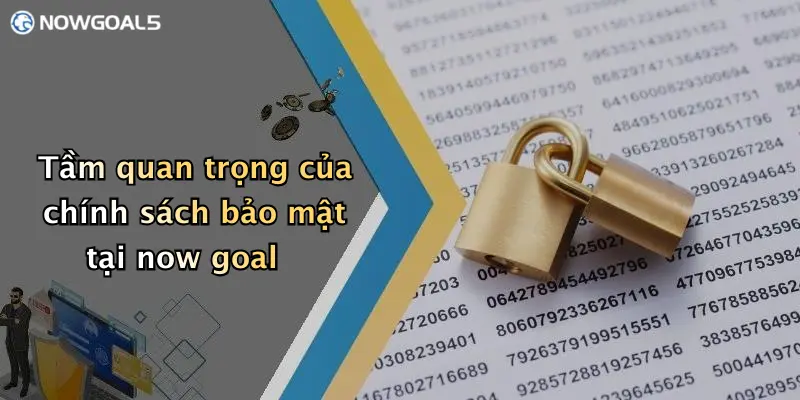 Tầm quan trọng của chính sách bảo mật tại now goal