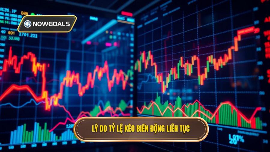 Tại sao tỷ lệ kèo lại biến động liên tục?