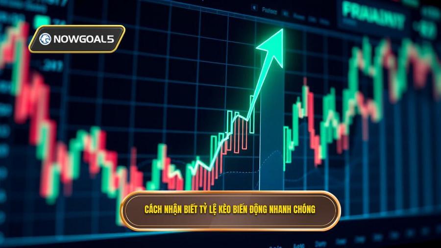 Cách nhận biết tỷ lệ kèo biến động nhanh chóng